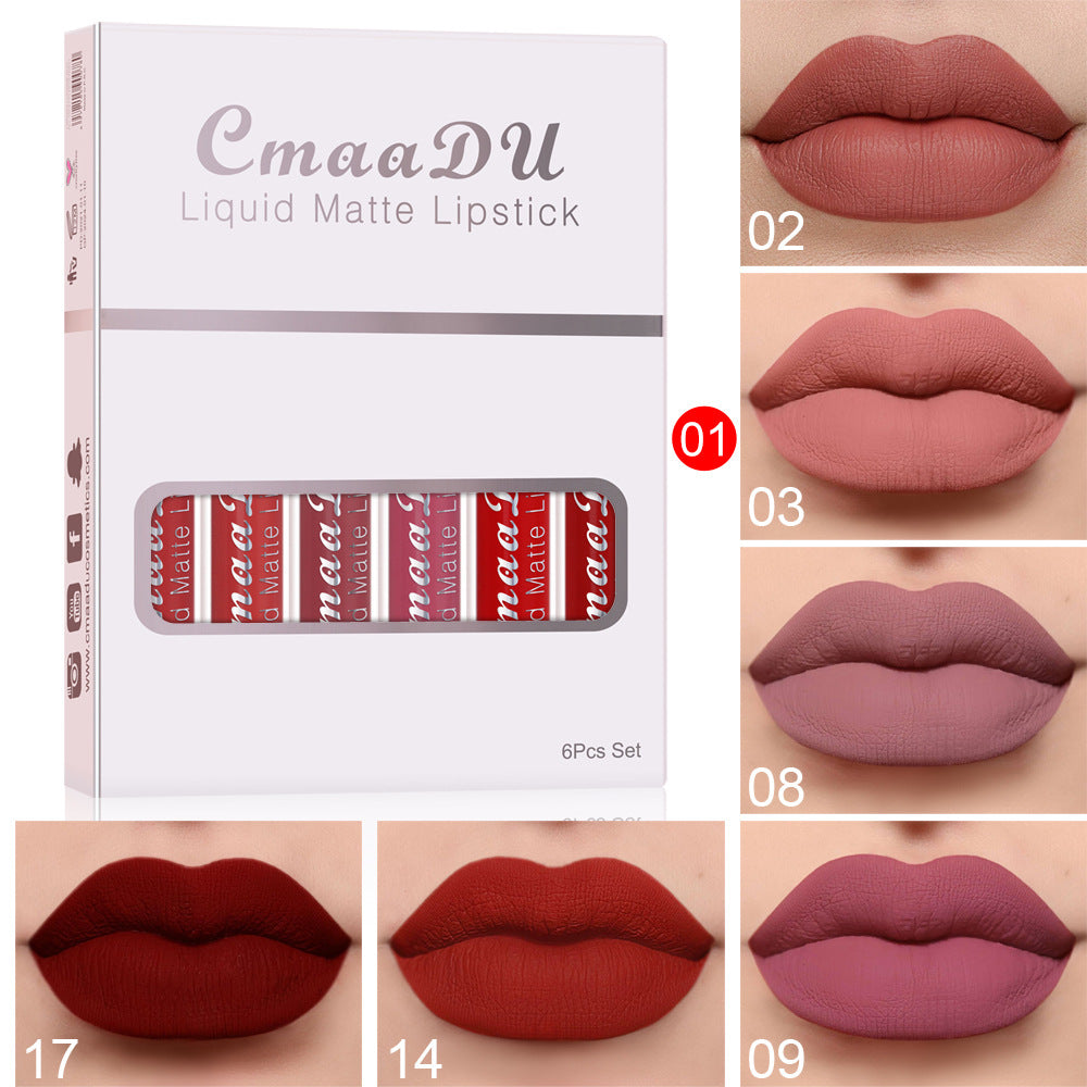 Color Swatches of 6 Shades of Waterproof Matte Lipstick